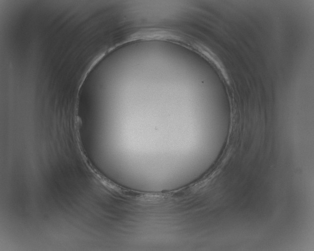 X0000073991481200608211029