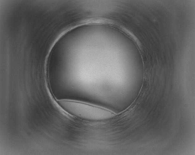 X0000073991483200608211029