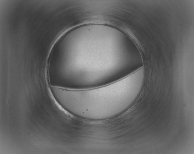 X0000073991484200608211029