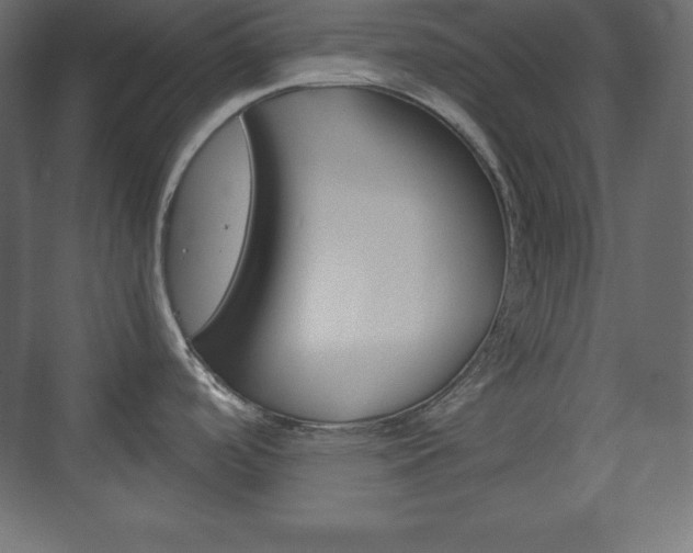 X0000073991488200608211029