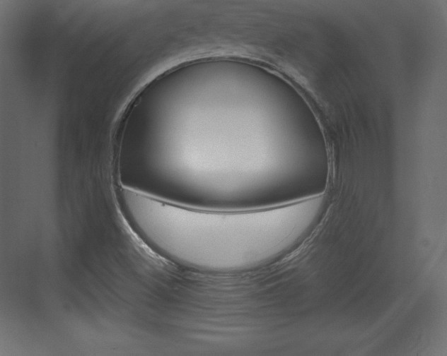X0000073991500200608211028