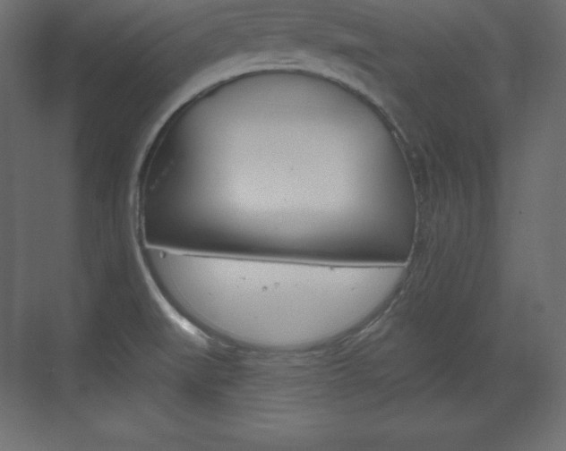 X0000073991519200608211029
