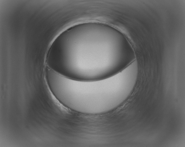 X0000073991524200608211029