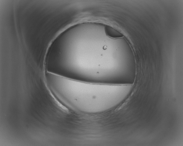 X0000073991525200608211029