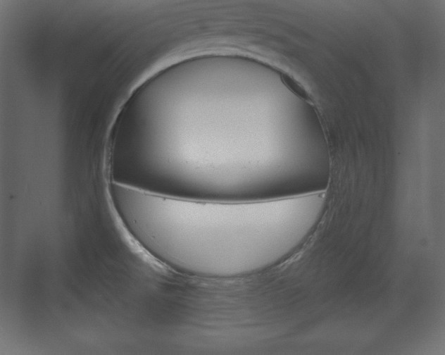 X0000073991526200608211029