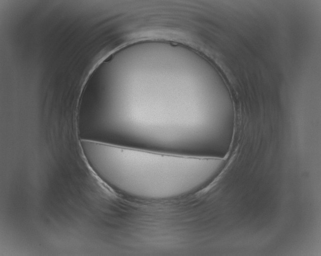 X0000073991529200608211029