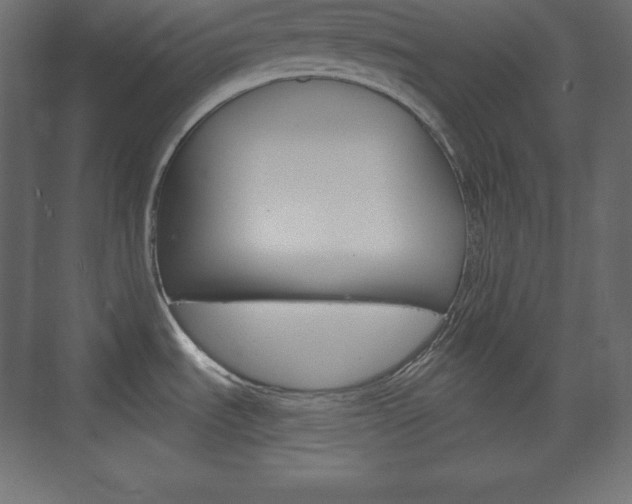 X0000073991535200608211029
