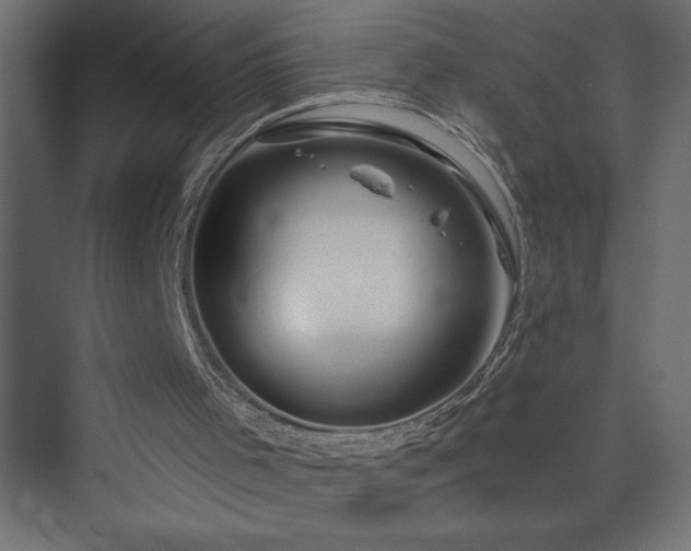 X0000073990001200608211400