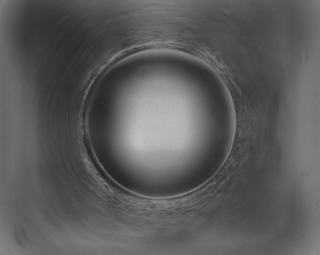 X0000073990002200608211400