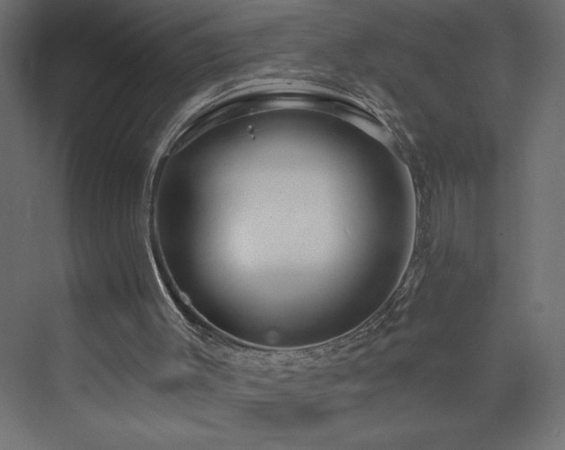 X0000073990003200608211400