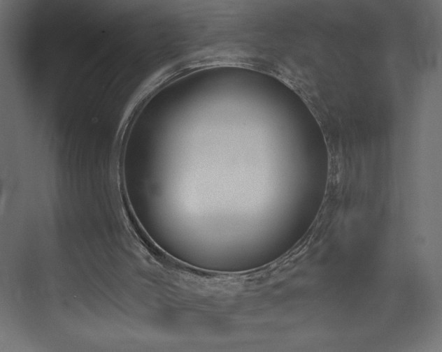 X0000073990004200608211400