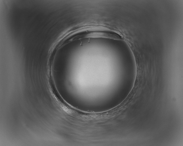 X0000073990005200608211400