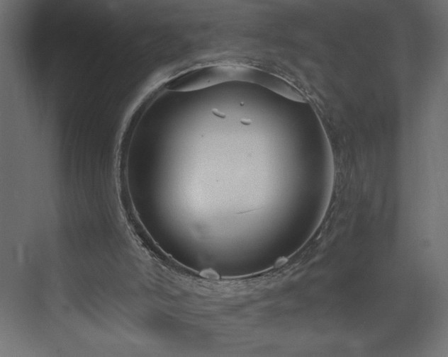 X0000073990006200608211400