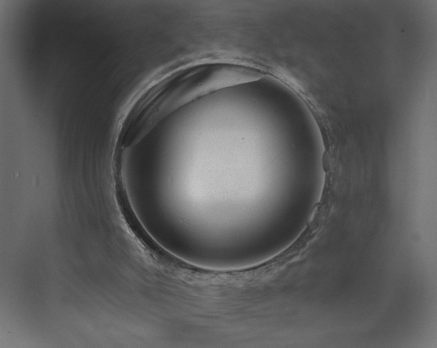 X0000073990007200608211400