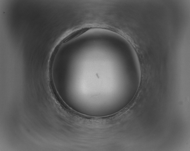 X0000073990008200608211400