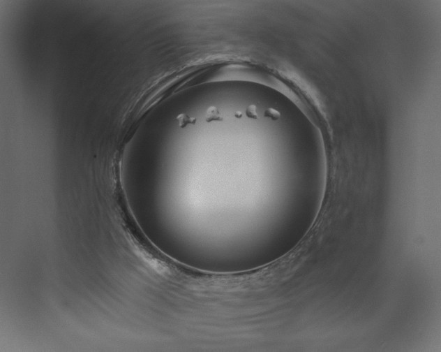 X0000073990009200608211400