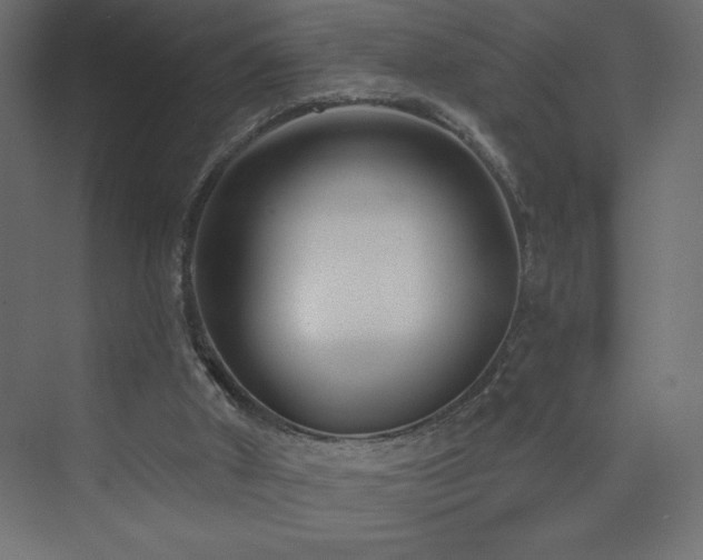 X0000073990010200608211400