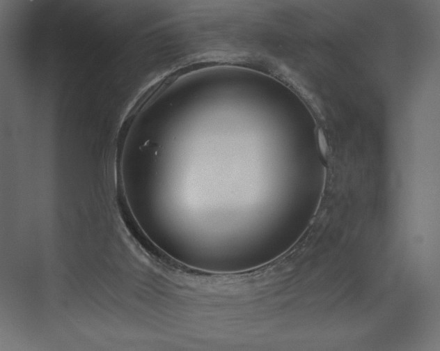 X0000073990011200608211400