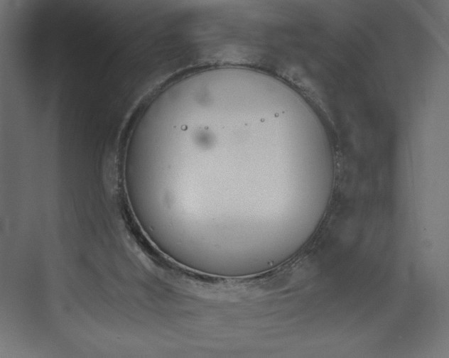 X0000073990012200608211400