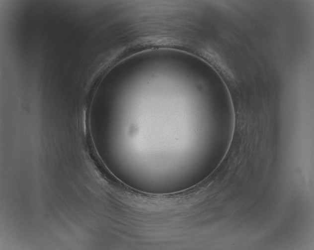 X0000073990014200608211400