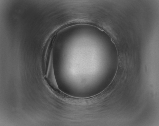 X0000073990015200608211400