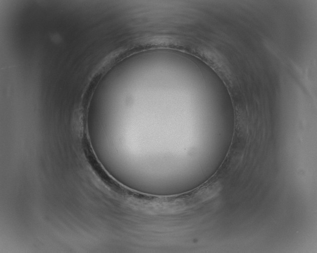 X0000073990016200608211400