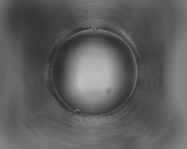 X0000073990018200608211400