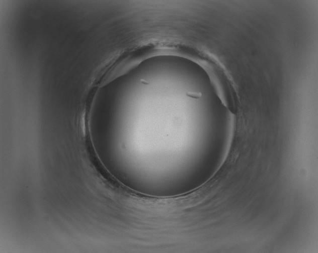 X0000073990019200608211400