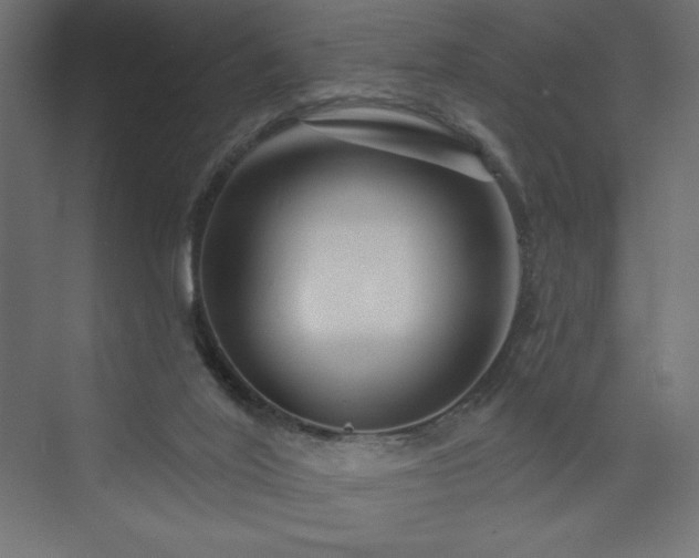 X0000073990020200608211400