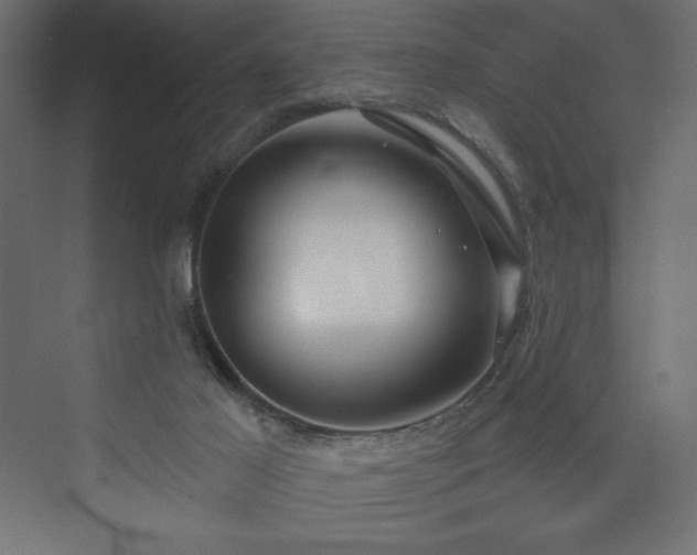 X0000073990021200608211359