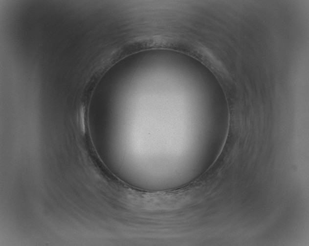 X0000073990022200608211359