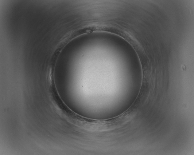 X0000073990024200608211359