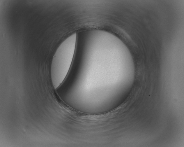 X0000073990025200608211359