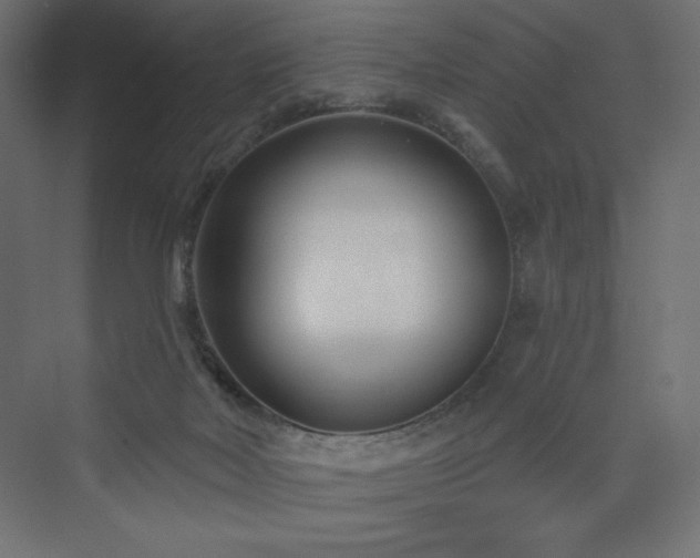 X0000073990026200608211359