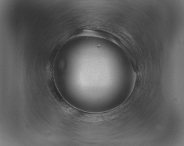 X0000073990029200608211359