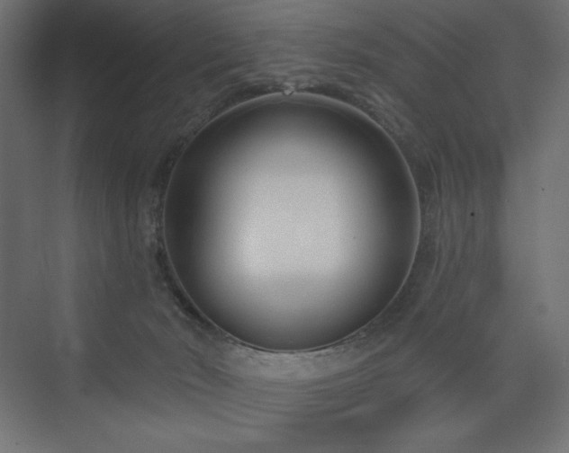 X0000073990030200608211359