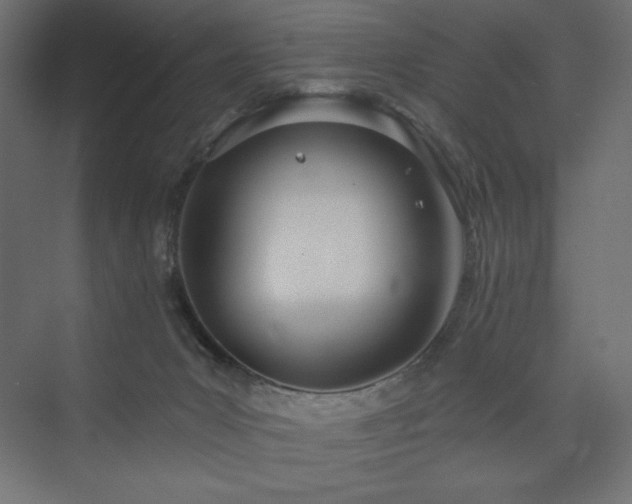 X0000073990031200608211359