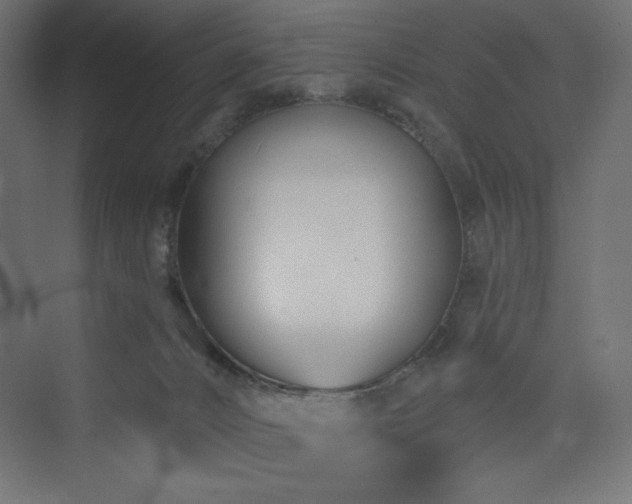 X0000073990032200608211359