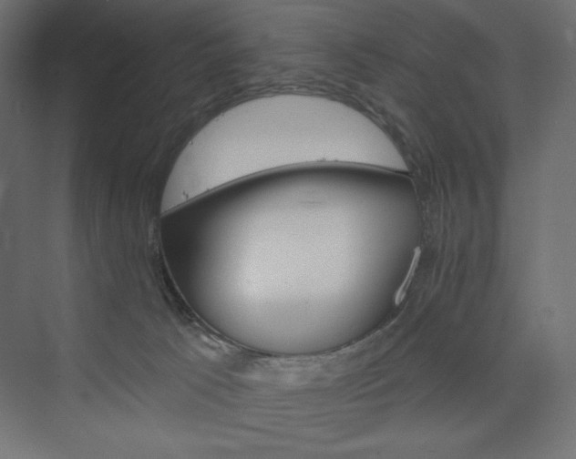 X0000073990033200608211359