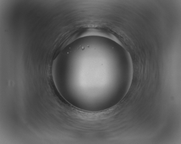 X0000073990035200608211359