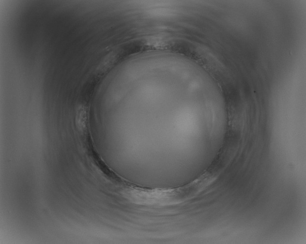 X0000073990036200608211359