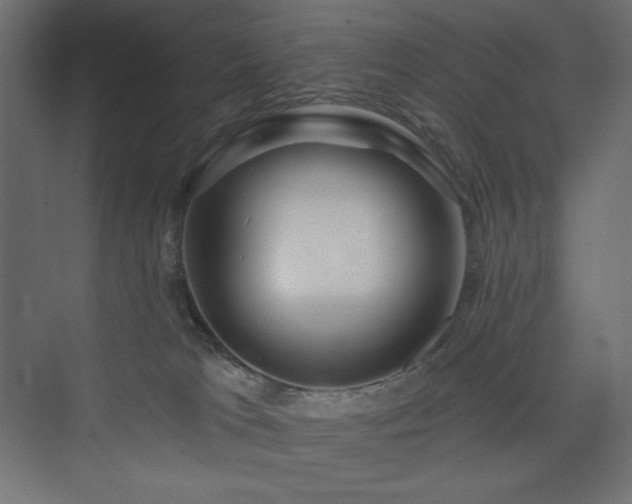 X0000073990037200608211359