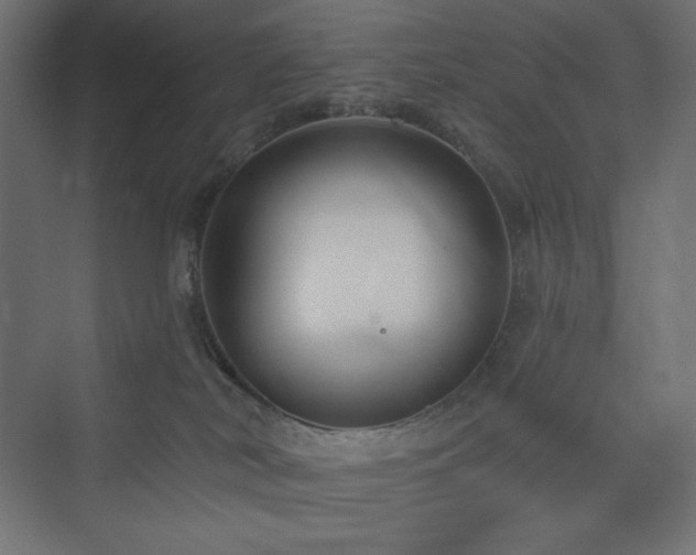 X0000073990038200608211359