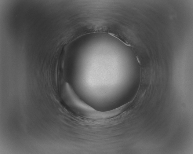 X0000073990039200608211359