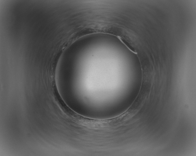 X0000073990040200608211359