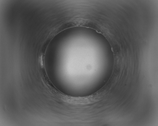 X0000073990042200608211359