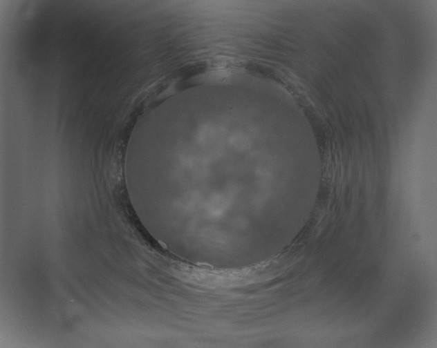 X0000073990043200608211359