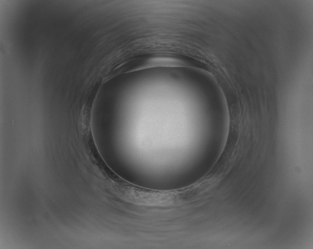 X0000073990044200608211359