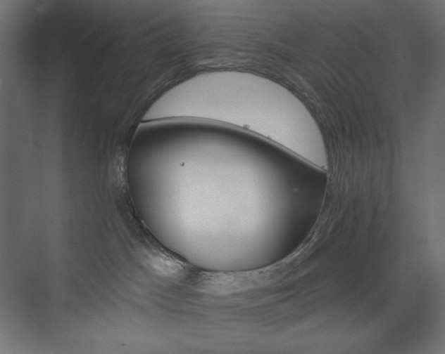 X0000073990045200608211359