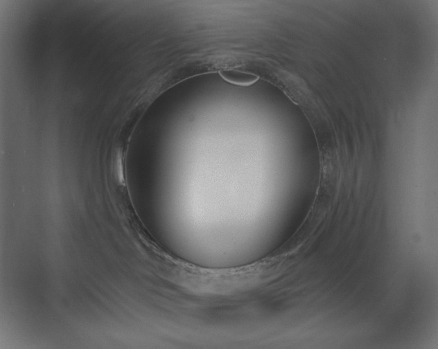 X0000073990046200608211359